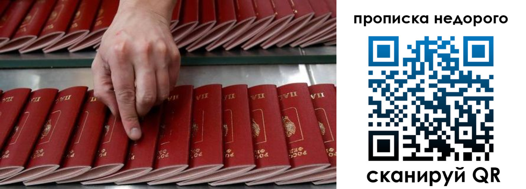 прописка регистрация в Называевске